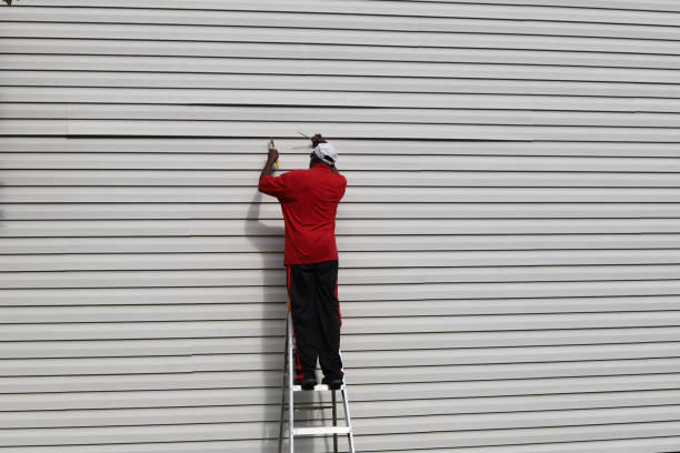 Affordable Siding Repair and Maintenance Services in Menomonee Falls, WI